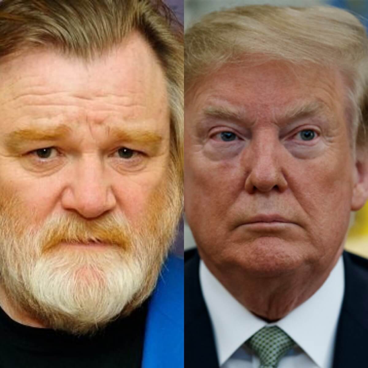 Actor Brendan Gleeson Is President Trump In ‘The Comey Rule’