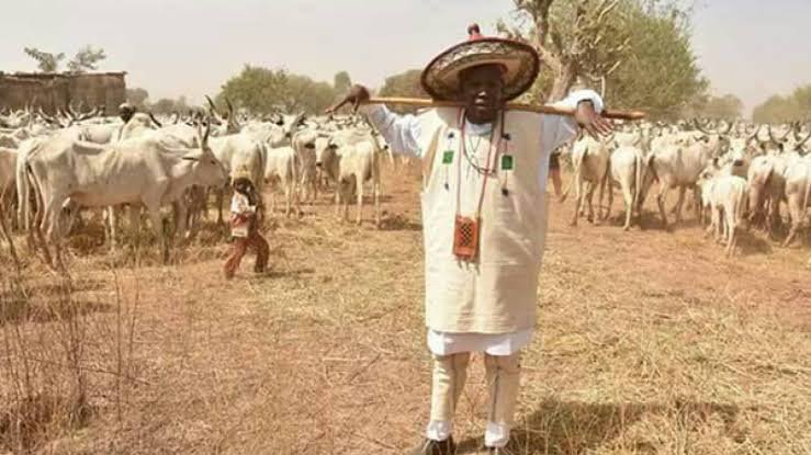 Ganduje Floats RUGA Settlements In Kano, Invites More Herders