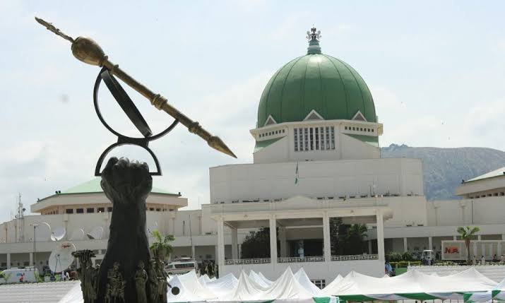 Omolari Kicked Out As New Clerks Take Over National Assembly  