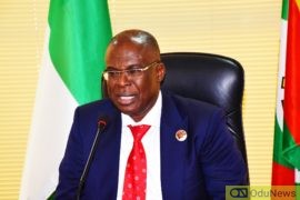 Petroleum Ministry Vehicles Will Now Run On Autogas - FG  