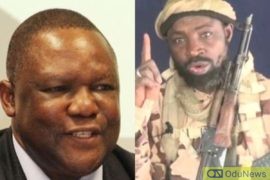 Boko Haram Commander: Again, DSS Questions Mailafiya  