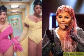 Cardi's B WAP: Fans Think A Cameo From Lil Kim Would Have Made The Video Perfect  