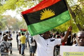 We're Not Responsible For South-East Killings - IPOB  