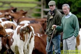 Prince Charles Quitting Home Farm Is Likely Linked To His Kingship  