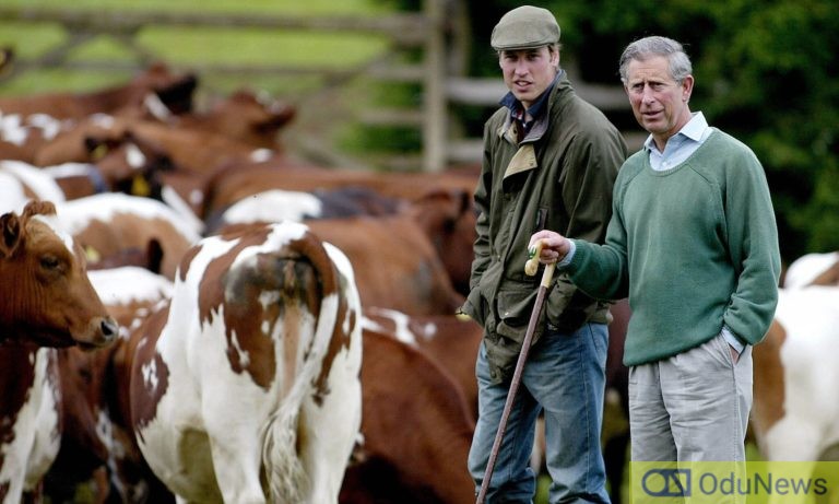 Britain's Prince William (L) and his father Prince Charles check