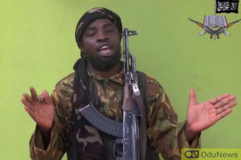 Blasphemy: Boko Haram Leader Shekau Condemns Singer's Death Sentence In New Audio