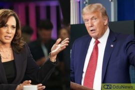 Trump Reacts As Biden Chooses Kamala Harris As Running Mate  