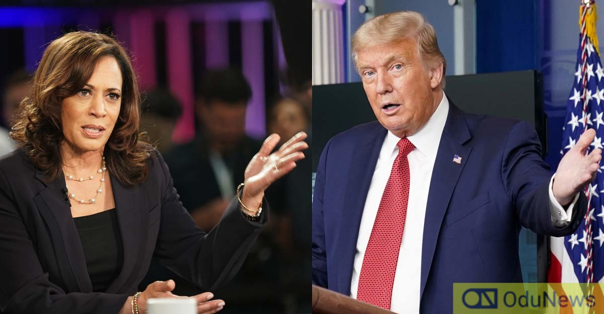 Trump Reacts As Biden Chooses Kamala Harris As Running Mate