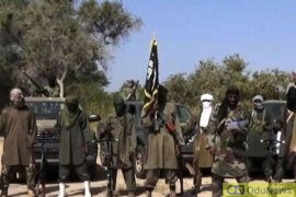 JUST IN: Boko Haram Takes Over Borno, Hoists Flag In Parts Of The State  