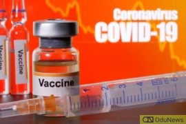US To Commence COVID-19 Vaccine Distribution November 1  