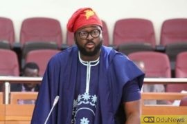Nigerians Knock Desmond Elliot For Glorifying Godfatherism  