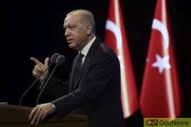 "Don't Mess With Turkey" - Erdogan Warns Macron As Mediterranean Spat Deepens  