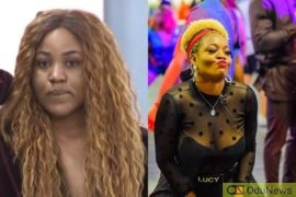 #BBNaija2020: You're A Bad Energy - Erica Blasts Lucy  