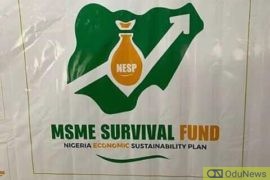 FG Opens Registration Portal For N75bn MSME Survival Fund  