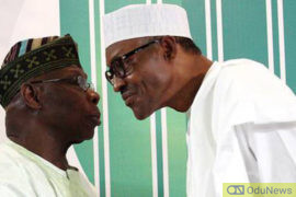 Only Buhari Can Confront Obasanjo And Survive It - Femi Adesina  
