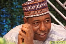End SARS:  Governor Zulum Calls On FG To Deploy Dissolved SARS To Borno State  