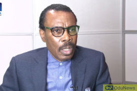 Bismarck Rewane Lists Nine States In Nigeria As The Only Prosperous Out Of 36  