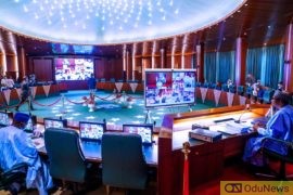 19th Virtual FEC Meeting Begins At Presidential Villa  