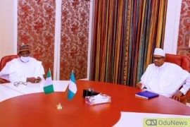 #EndSWAT: Northern Governors Reject Disbandment Of SARS  