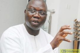 If We Continue Like This, Nigeria Will Split - Gani Adams  