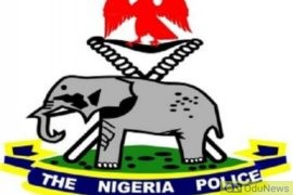 PDP Govs Maintain That New Police Act Is 'Unconstitutional'  