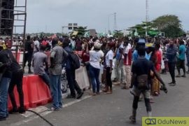 Lekki Shootings: We'll Respond To The Nigerian Army's Claims Soon - Lagos State Govt.  