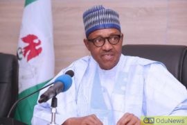 Buhari: We'll continue to do our best to empower women  