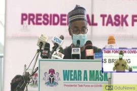 Don't Come Home For Christmas - PTF Advises Nigerians Abroad
