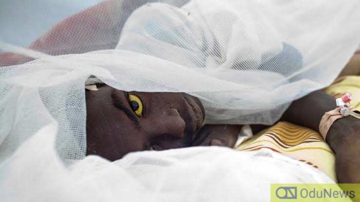 BREAKING: Three LGAs In Enugu Suffer Yellow Fever Outbreak