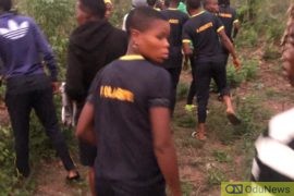 Robbers Attack Female Football Team, FC Robo Players Along Benin- Ore Road  