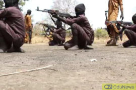 Boko Haram Releases Video Of Children Undergoing Combat Training  