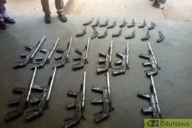 NDLEA Recovers Rifles In Niger, Destroys Hectares Of Cannabis Farm In Ondo  