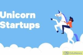 What you need to know about the race to Unicorn Status  