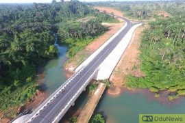 Akwa Ibom Bridge Of Death And Loss! – Priscilla Christopher  