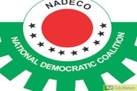 NADECO Sends SOS To UN Over Buhari’s Government  