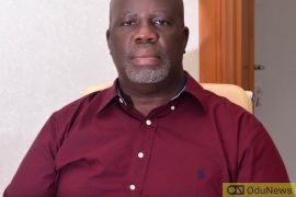 Court Freezes Accounts Of Onyema Okonjo, 2 Others Over N168m Debt  
