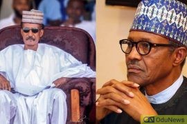 How Buhari Mismanaged Nigeria - Colonel Dangiwa Umar  