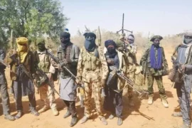 Bandits Kill Three PDP Delegates In Niger  