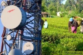 Nigeria's Broadband Penetration Rises To 42.27% In March; Agricultural Sector GDP Grows By 3.16% In Q1 2022  