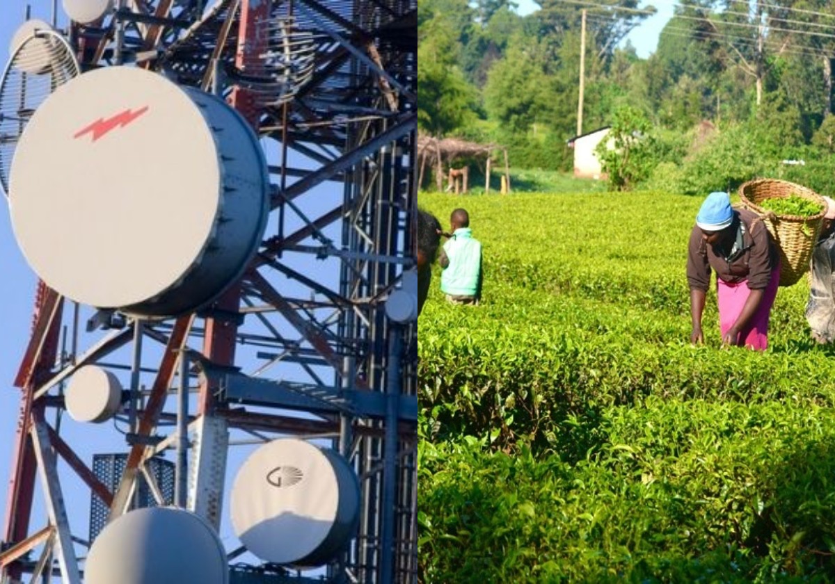 Nigeria’s Broadband Penetration Rises To 42.27% In March; Agricultural Sector GDP Grows By 3.16% In Q1 2022