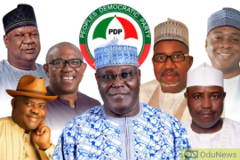 PDP Delegates To Receive $10,000 Bribe From Presidential Aspirants - Doyin Okupe  