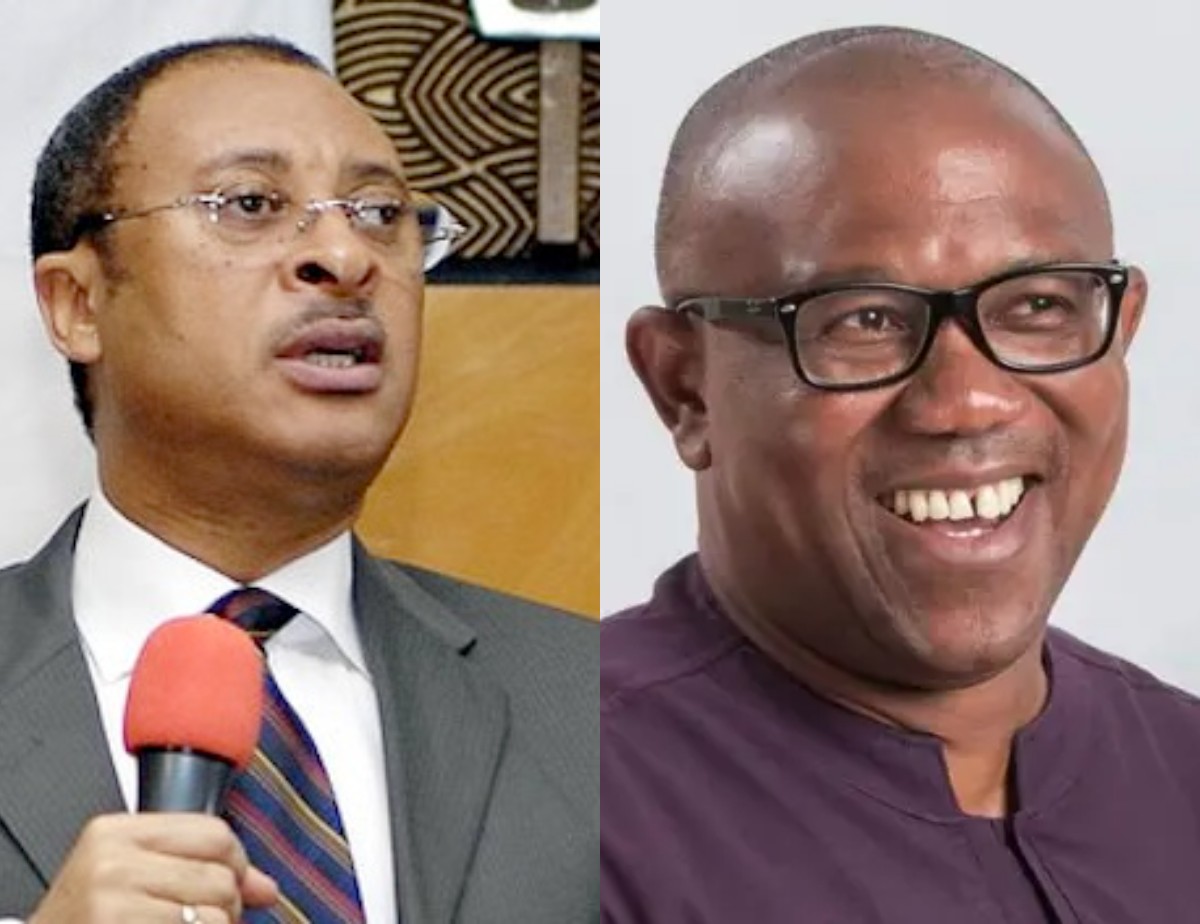 Tinubu Asked Pat Utomi To Step Down For Obi, Funded Campaign - Oyo LP Guber Candidate  