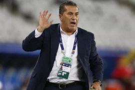 NFF Appoints Jose Peseiro As Super Eagles Coach, Finidi As Assistant  