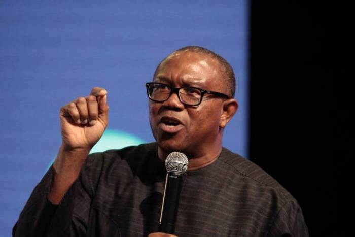 Peter Obi Highlights Two 'Assets' Nigeria Must Focus On For Better Economy  