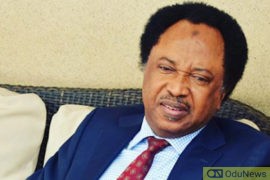 Shehu Sani Loses Kaduna PDP Governorship Primary  