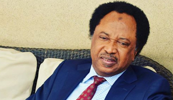Shehu Sani Loses Kaduna PDP Governorship Primary