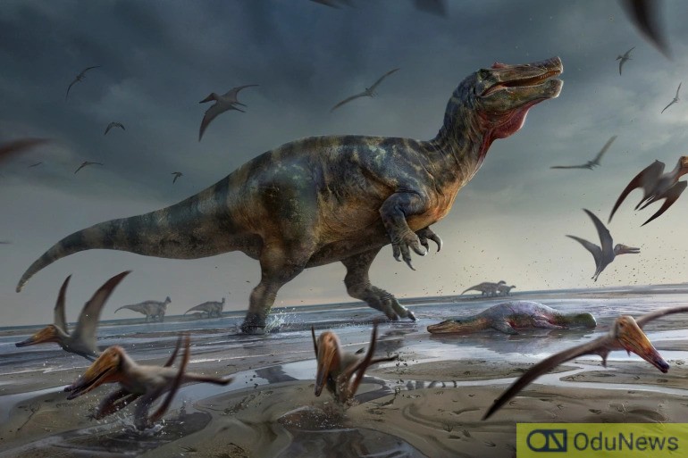 DISCOVERY: Europe’s Largest Carnivorous Dinosaur Found in UK’s Isle of Wight  