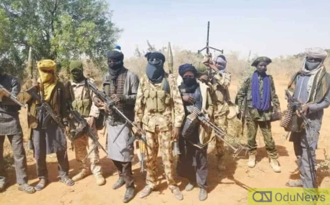 Niger: Bandits Kill Over 30 Soldiers, Policemen, Abduct 4 Chinese, Others  