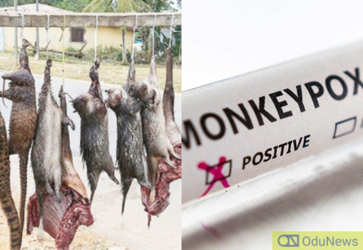 FG Bans Sale, Consumption Of Bushmeat As Nigeria Records 21 Cases Of Monkey Pox  