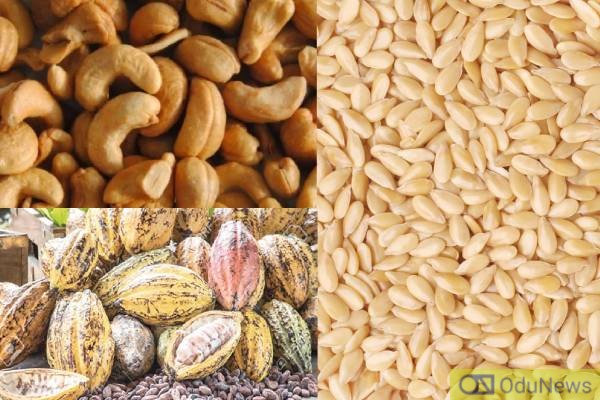CBN Pumps In N21bn To Cocoa, Sesame Seed Production  